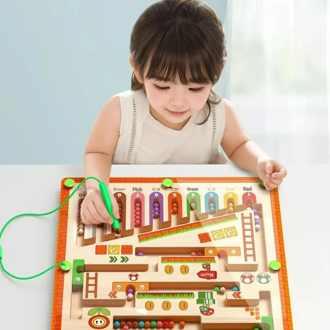 Magnetic Maze Puzzle