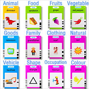 Educational Talking Flash Cards