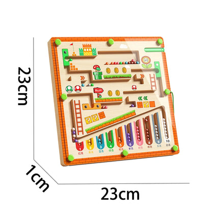 Magnetic Maze Puzzle